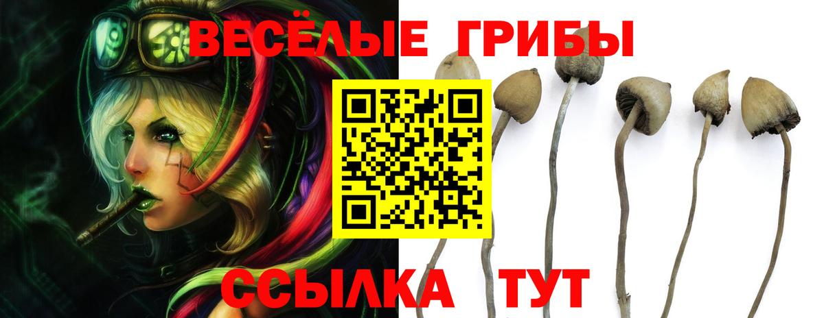 Галлюциногенные грибы Cubensis  Вход с VPN  Псилоцибиновые грибы мухоморы  Аргун 